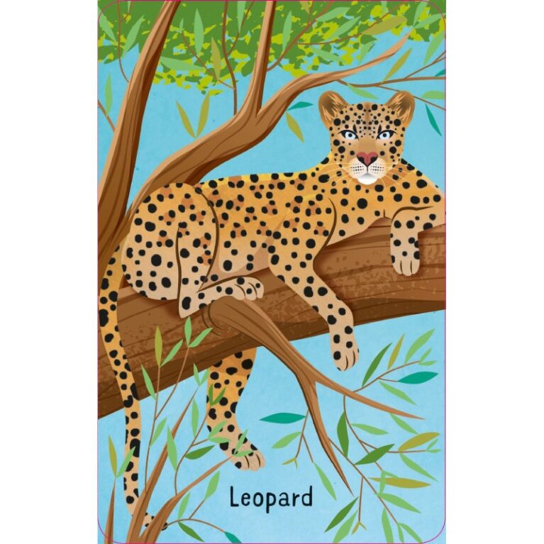 Animal Snap Card Game